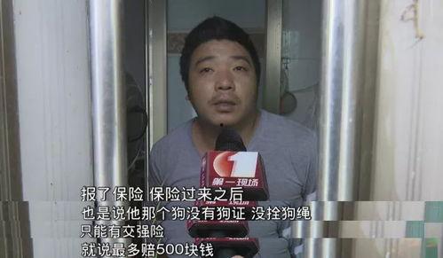 深圳周女士最新爆料,揭秘某事件背后惊人真相 第3张 深圳周女士最新爆料,揭秘某事件背后惊人真相 第3张